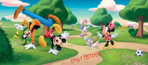 51068775a5c7419918d6