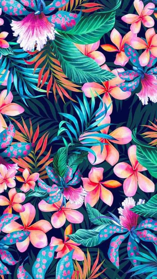 7391dc1c664c8112d85d